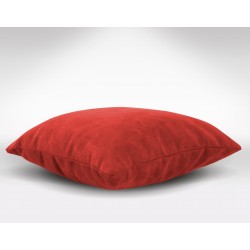 Coussin de décoration assorti